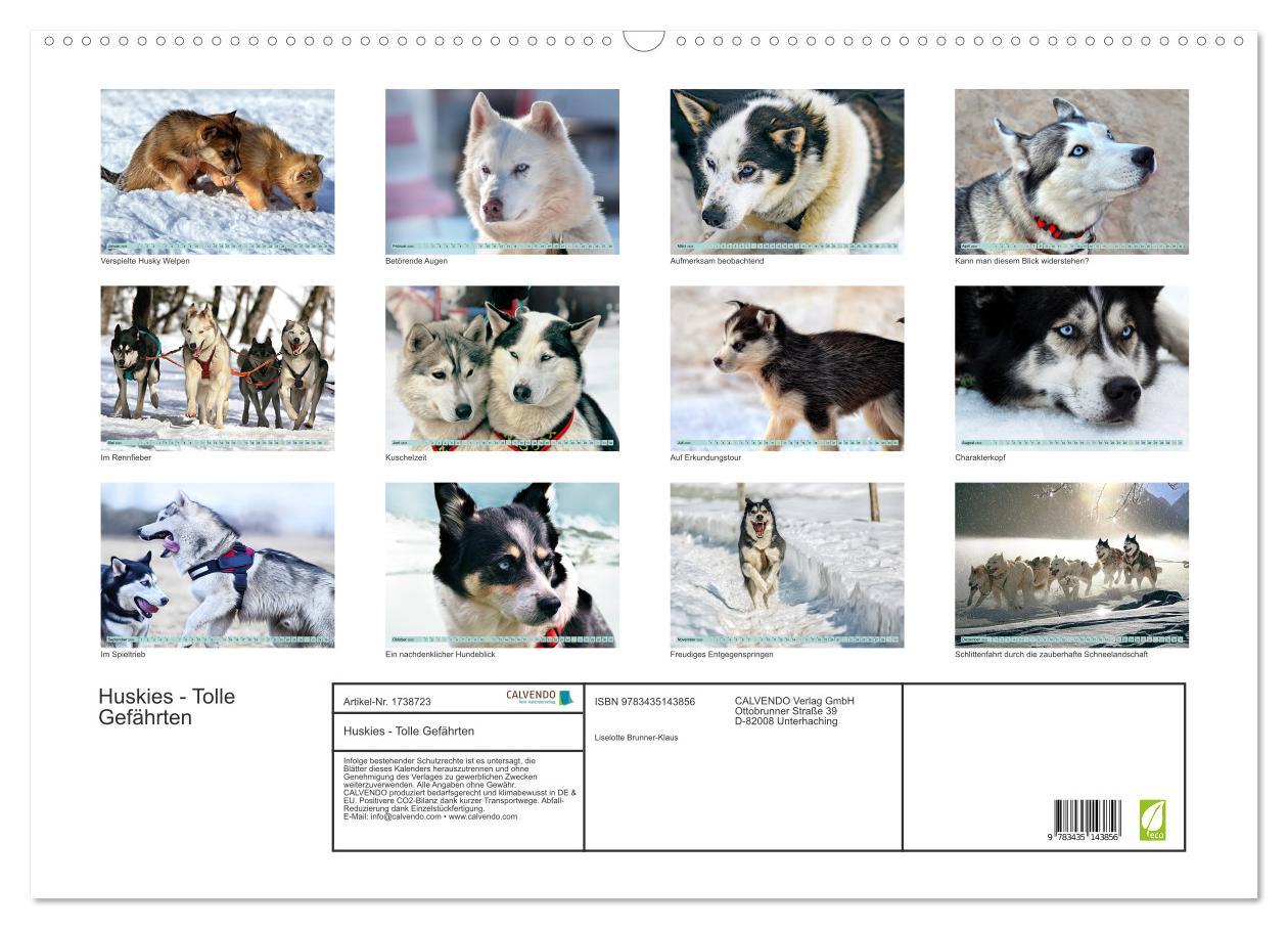 Bild: 9783435143856 | Huskies - Tolle Gefährten (Wandkalender 2025 DIN A2 quer), CALVENDO...